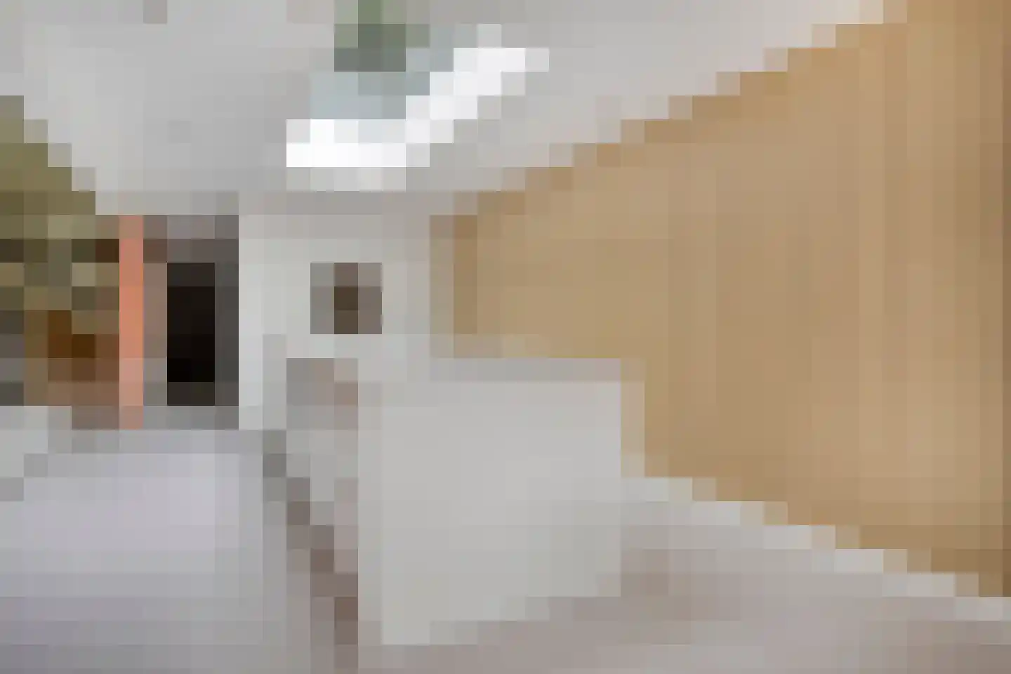Slochterstraat 164 Sappemeer thumbnail 14