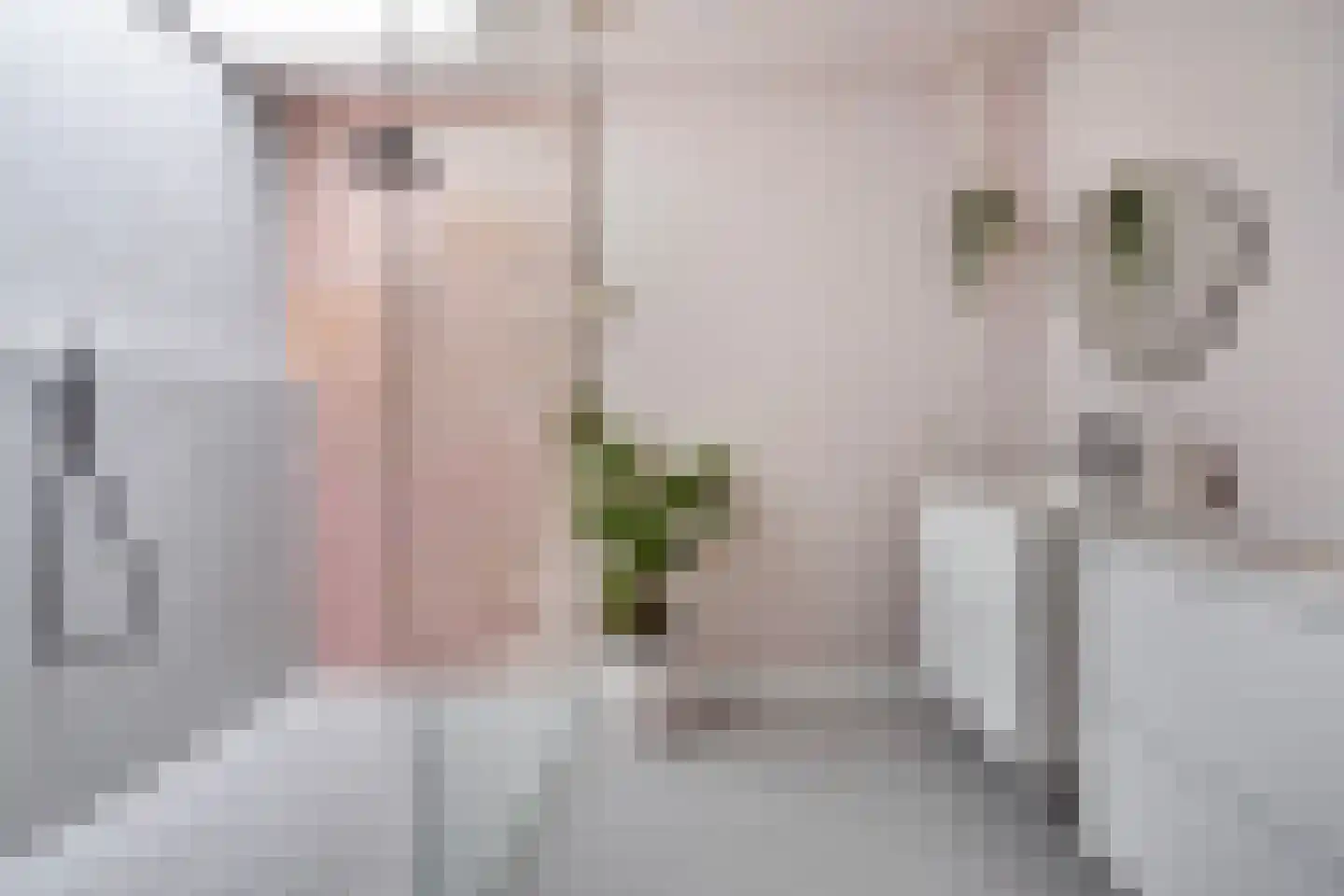 Slochterstraat 164 Sappemeer thumbnail 22