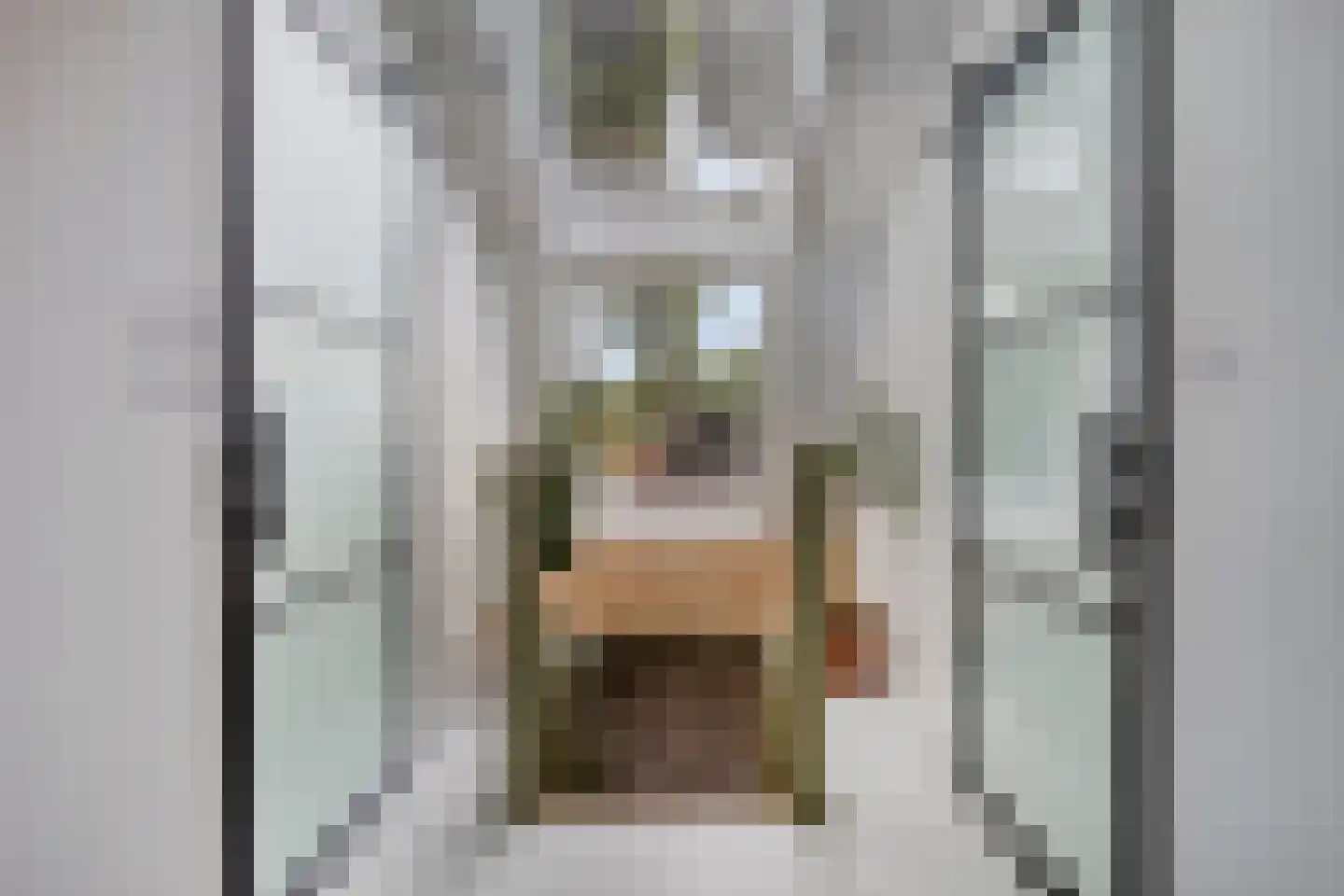 Slochterstraat 164 Sappemeer thumbnail 27