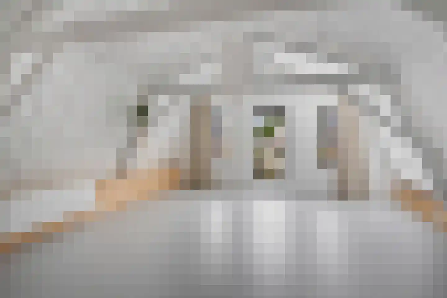 Slochterstraat 164 Sappemeer thumbnail 28