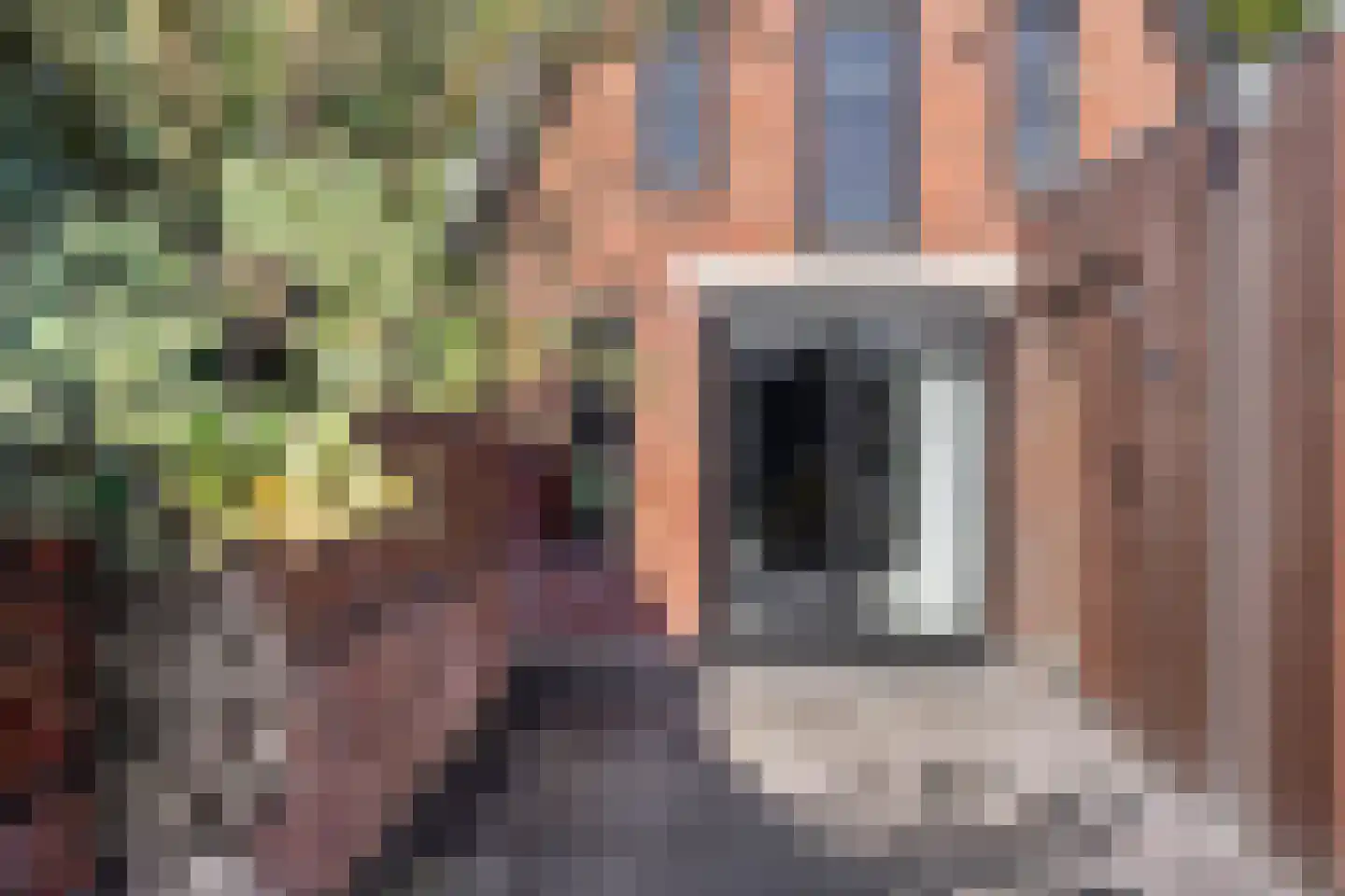 Slochterstraat 164 Sappemeer thumbnail 33