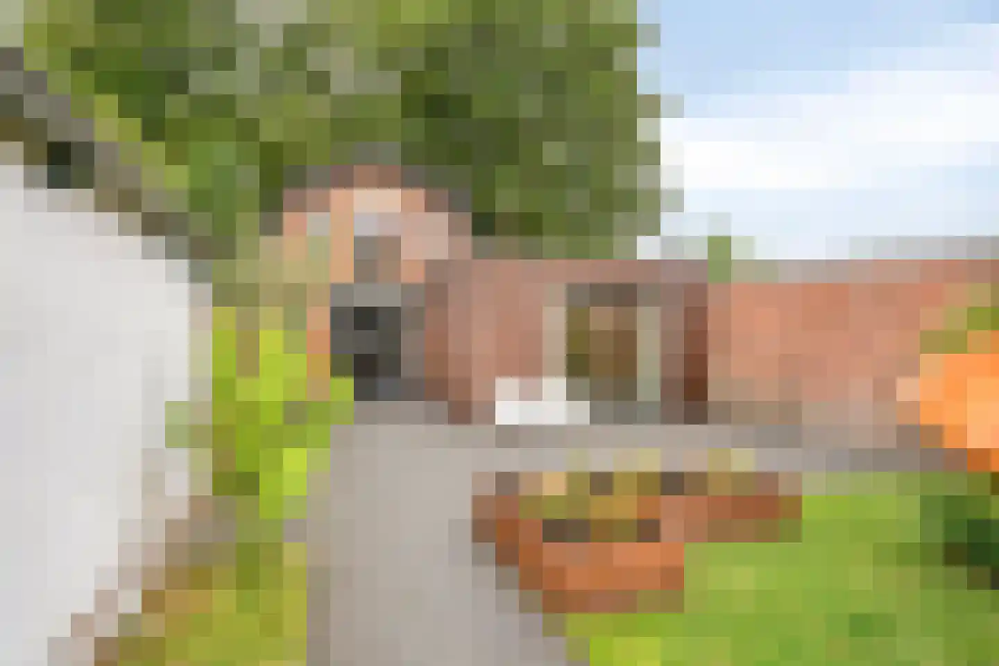 Slochterstraat 164 Sappemeer thumbnail 38