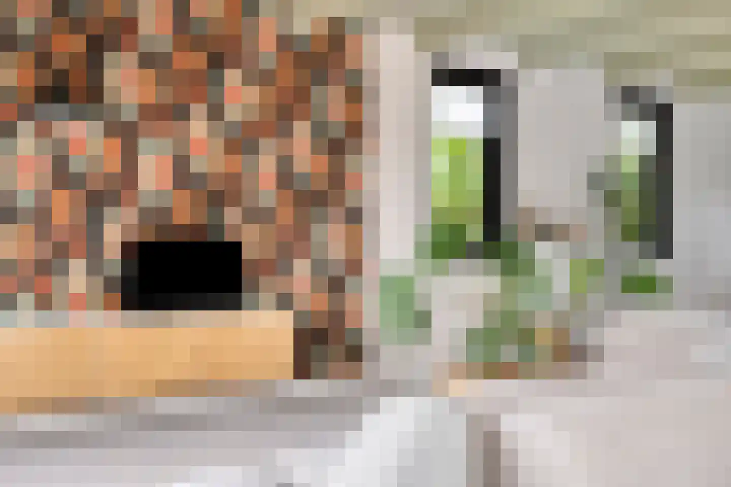 Slochterstraat 164 Sappemeer thumbnail 4