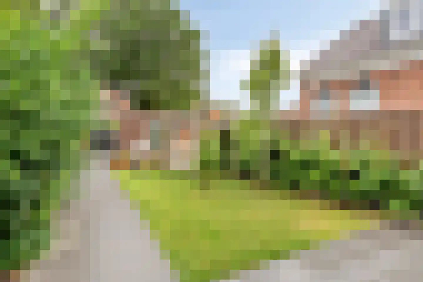 Slochterstraat 164 Sappemeer thumbnail 41