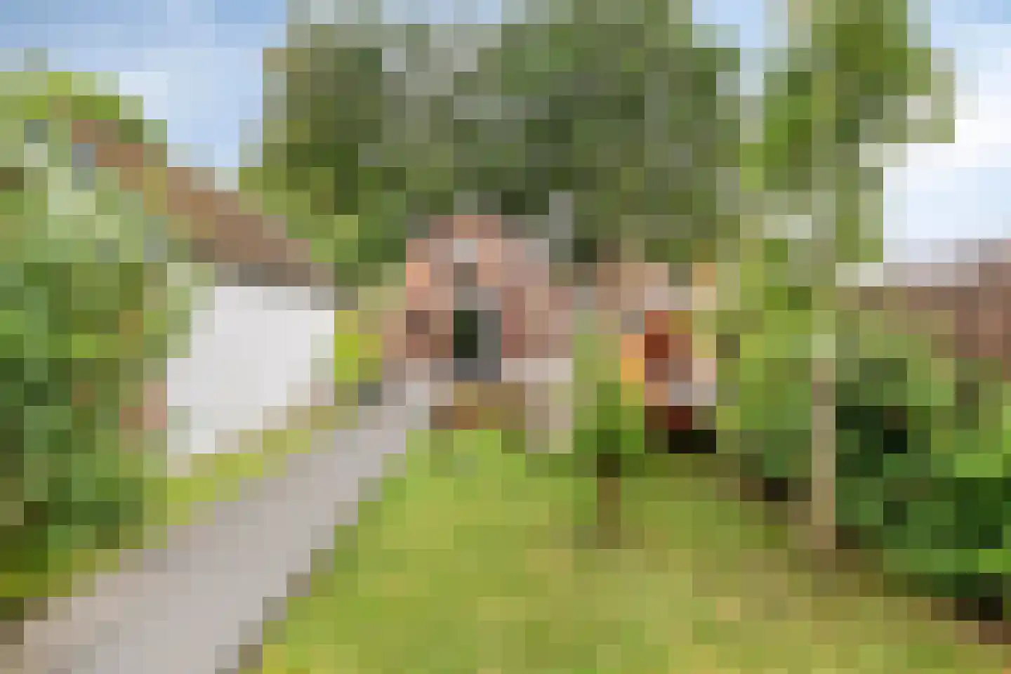 Slochterstraat 164 Sappemeer thumbnail 42