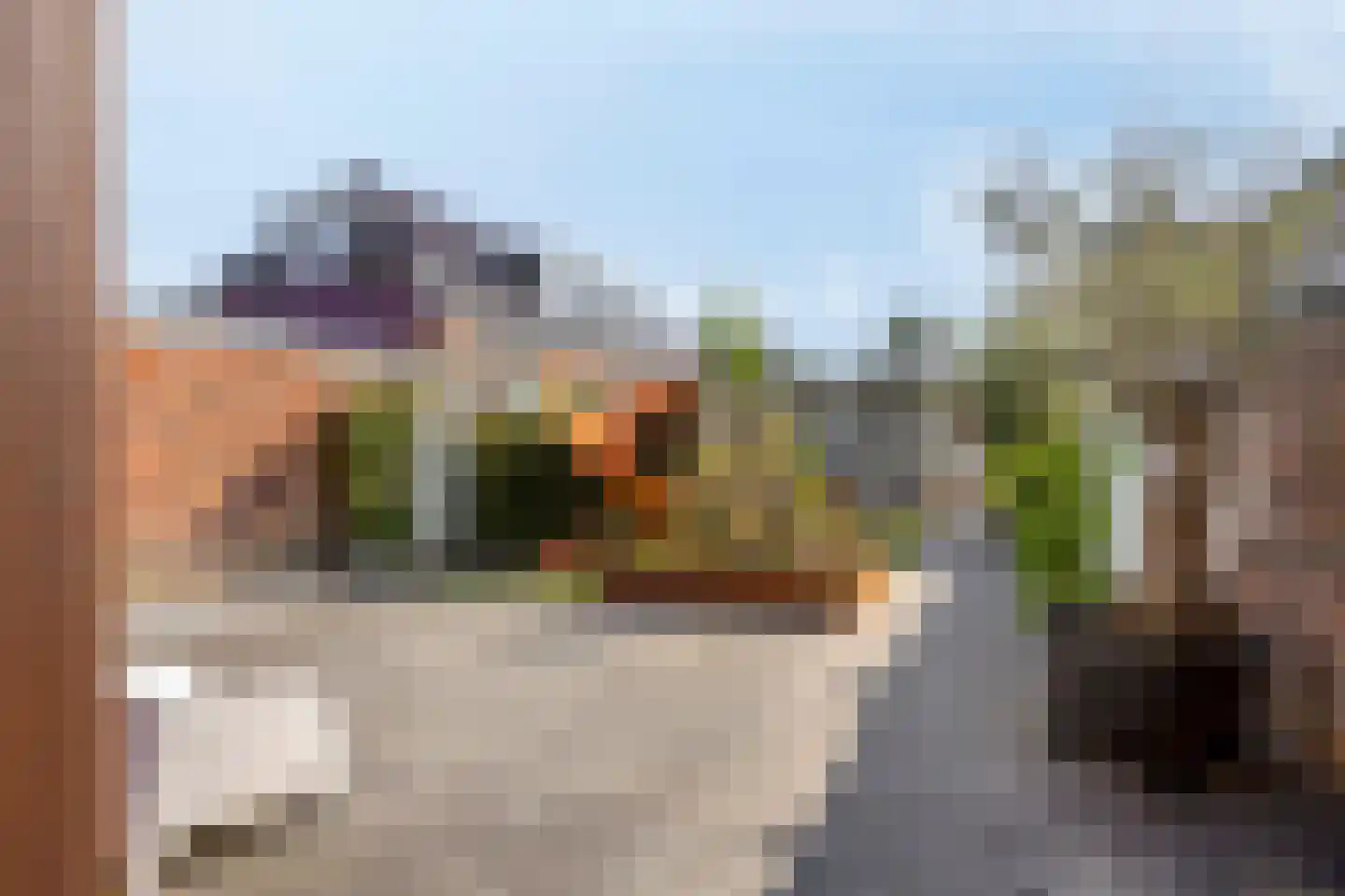 Slochterstraat 164 Sappemeer thumbnail 43