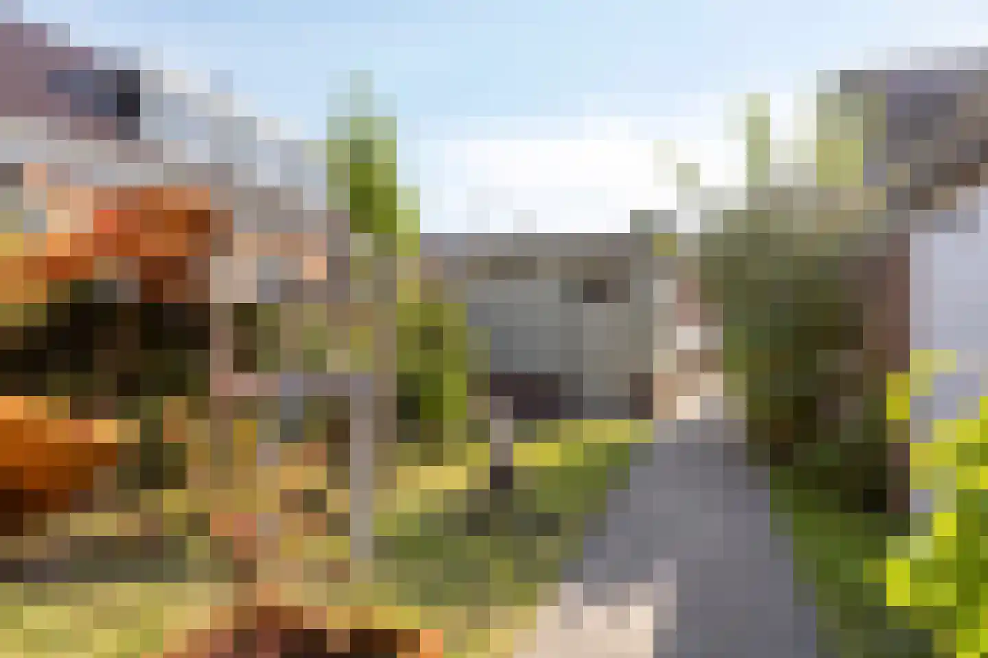 Slochterstraat 164 Sappemeer thumbnail 44