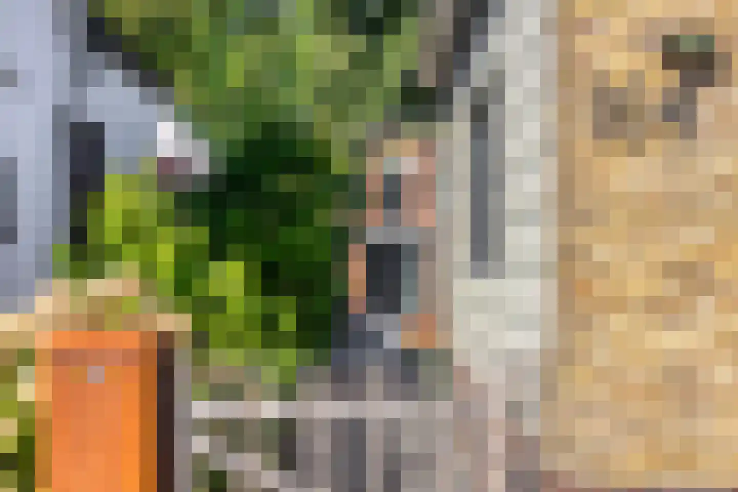 Slochterstraat 164 Sappemeer thumbnail 48