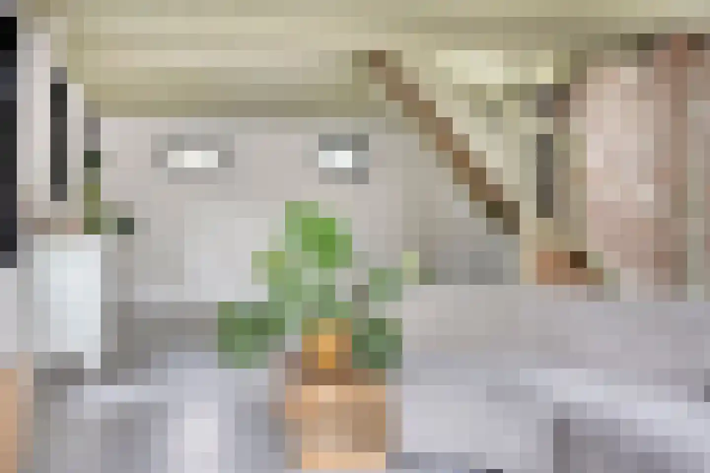 Slochterstraat 164 Sappemeer thumbnail 6