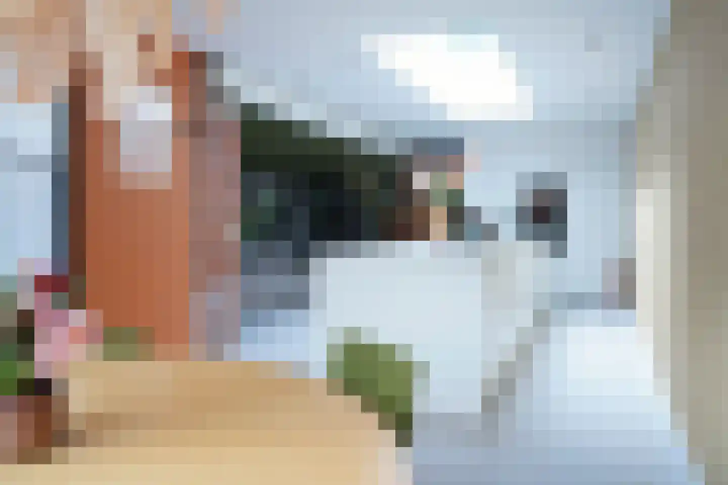 Slochterstraat 164 Sappemeer thumbnail 6