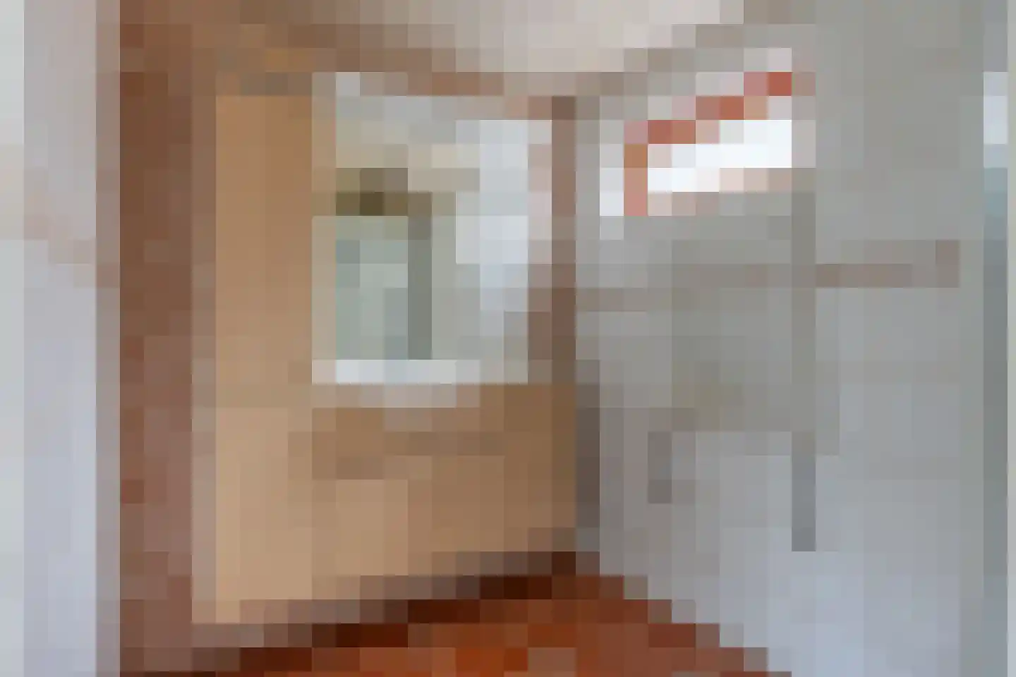 Slochterstraat 39 Sappemeer thumbnail 18