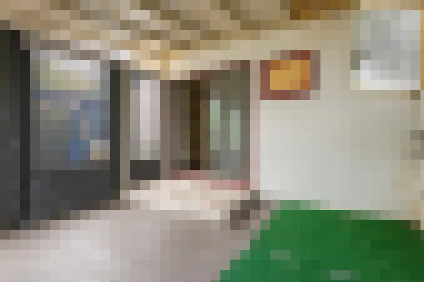 Slochterstraat 39 Sappemeer thumbnail 22