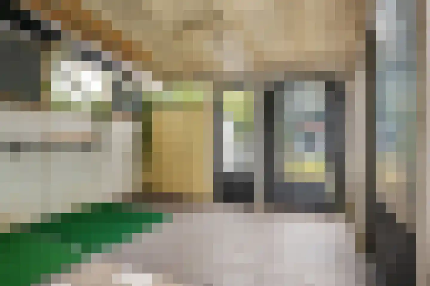 Slochterstraat 39 Sappemeer thumbnail 23