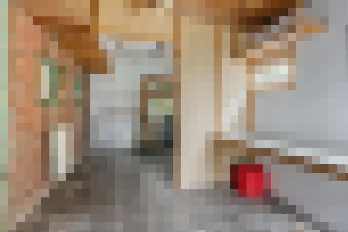 Slochterstraat 39 Sappemeer thumbnail 36