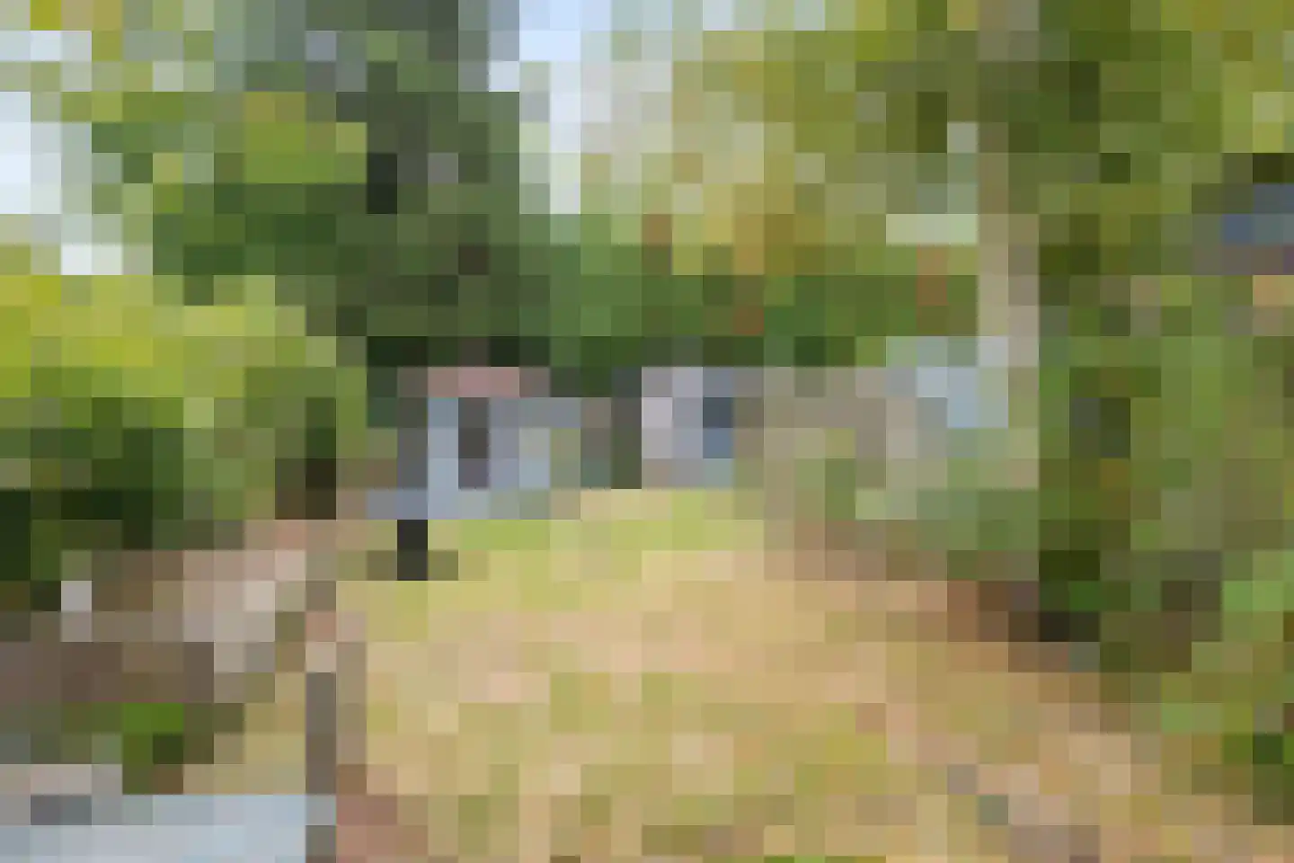 Slochterstraat 39 Sappemeer thumbnail 6