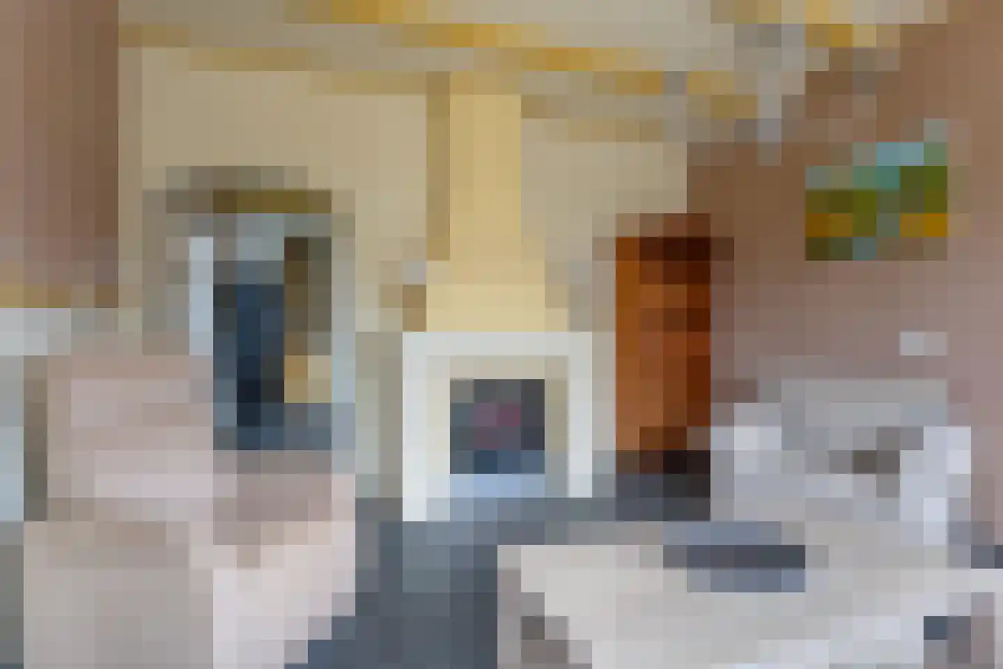 Slochterstraat 39 Sappemeer thumbnail 9