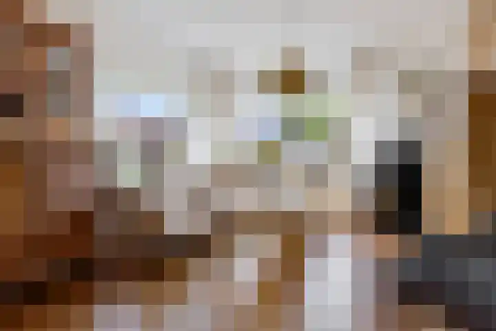Slochterstraat 7 Sappemeer thumbnail 10