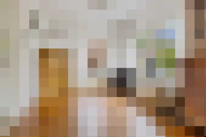 Slochterstraat 7 Sappemeer thumbnail 14