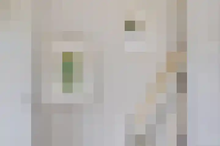 Slochterstraat 7 Sappemeer thumbnail 18