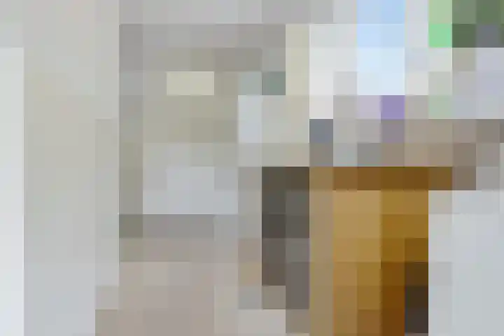 Slochterstraat 7 Sappemeer thumbnail 20