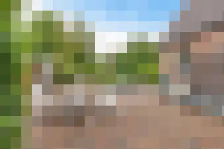 Slochterstraat 7 Sappemeer thumbnail 33