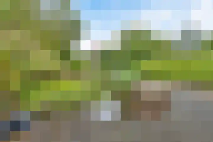 Slochterstraat 7 Sappemeer thumbnail 36