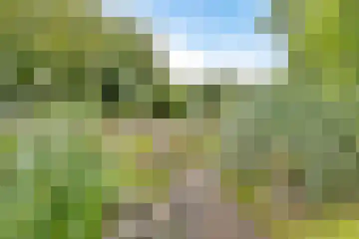Slochterstraat 7 Sappemeer thumbnail 37