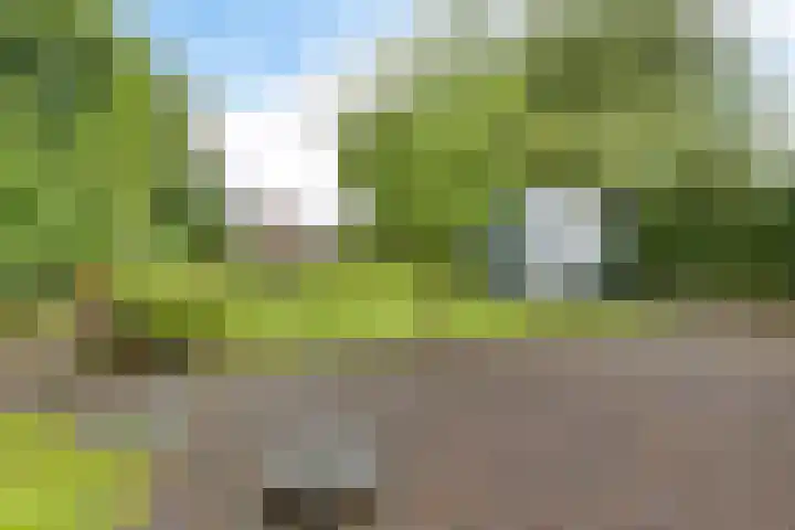 Slochterstraat 7 Sappemeer thumbnail 39