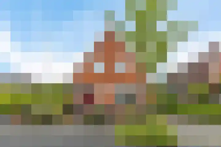 Slochterstraat 7 Sappemeer thumbnail 4