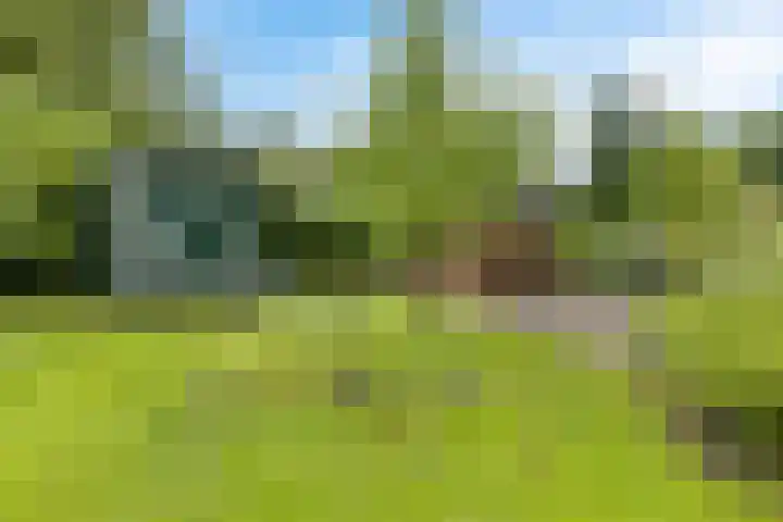 Slochterstraat 7 Sappemeer thumbnail 40