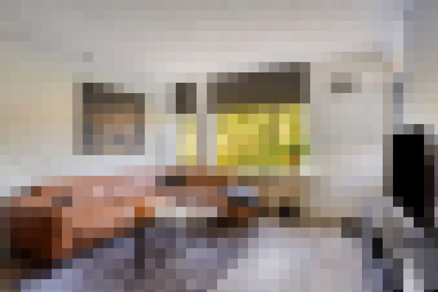 Slochterwaard 107 Alkmaar thumbnail 19