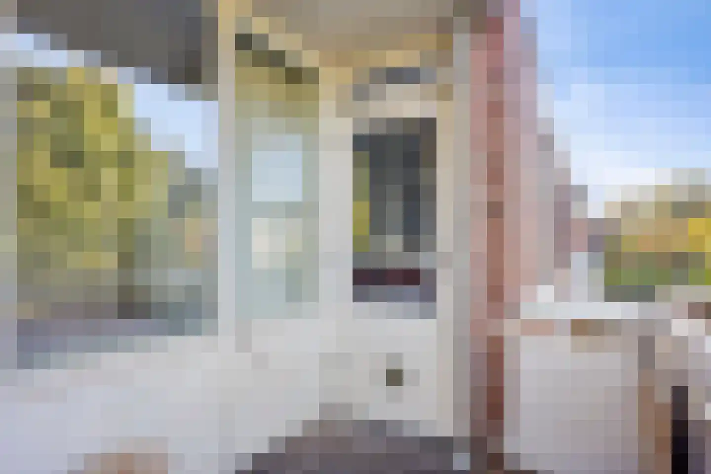 Slochterwaard 107 Alkmaar thumbnail 29