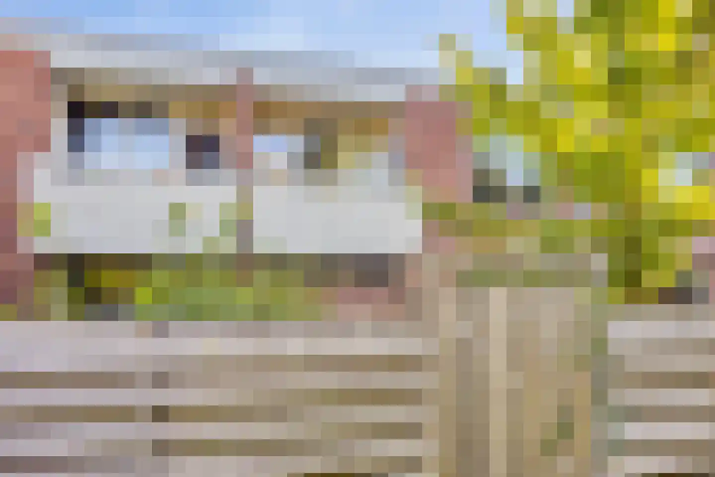 Slochterwaard 107 Alkmaar thumbnail 9
