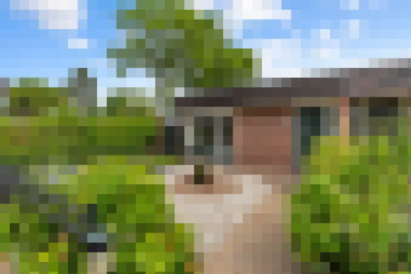 Slochterwaard 11 Alkmaar thumbnail 4