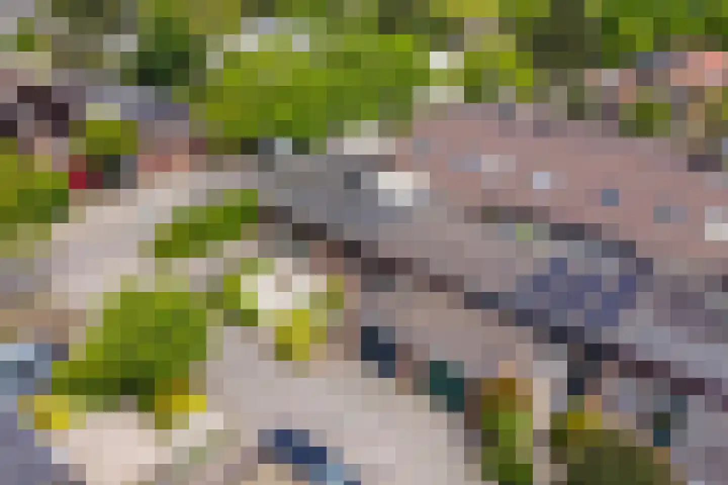 Slochterwaard 11 Alkmaar thumbnail 41