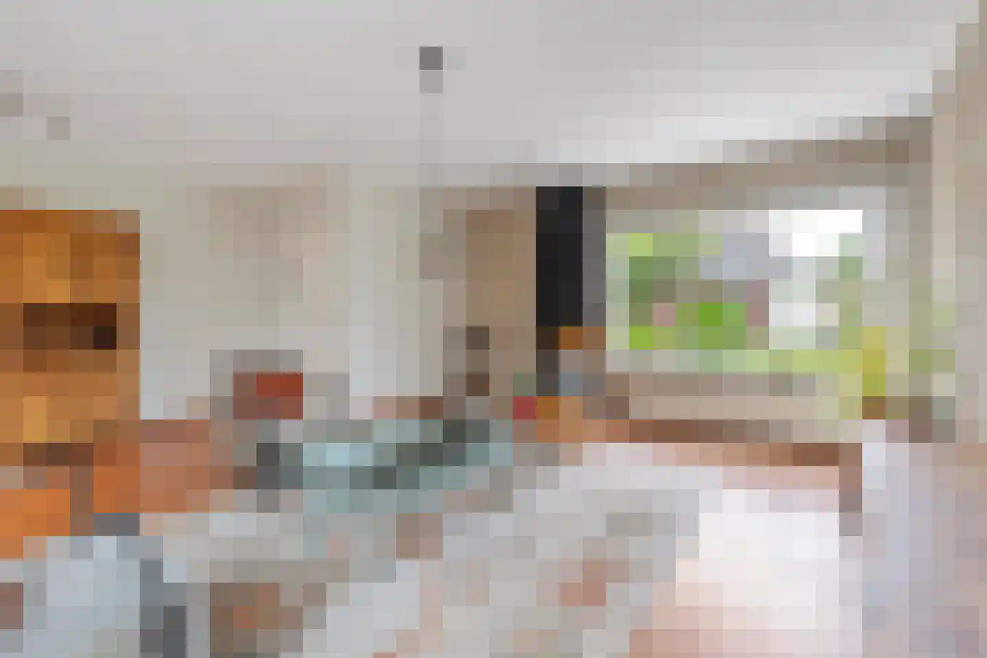 Slochterwaard 11 Alkmaar thumbnail 8