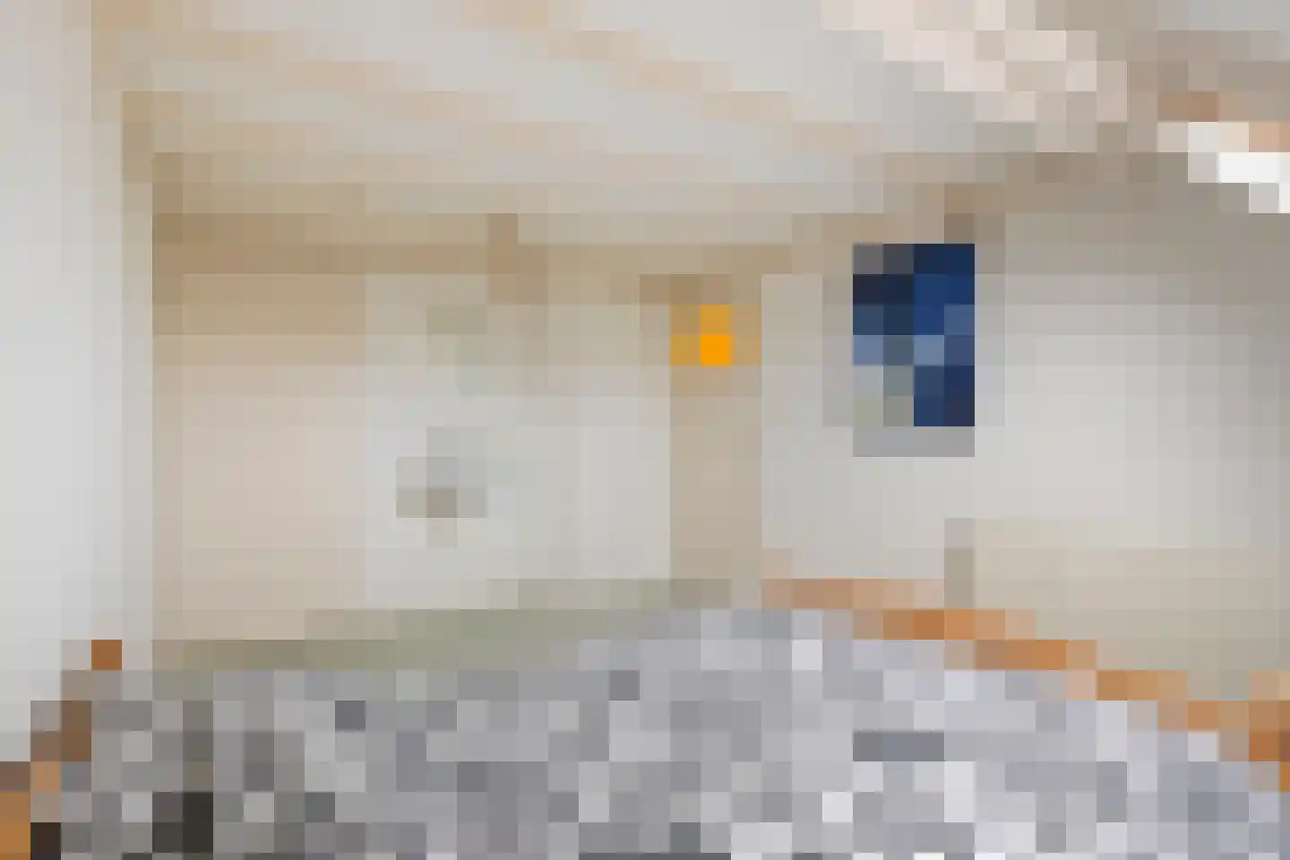 Slochterwaard 141 Alkmaar thumbnail 29