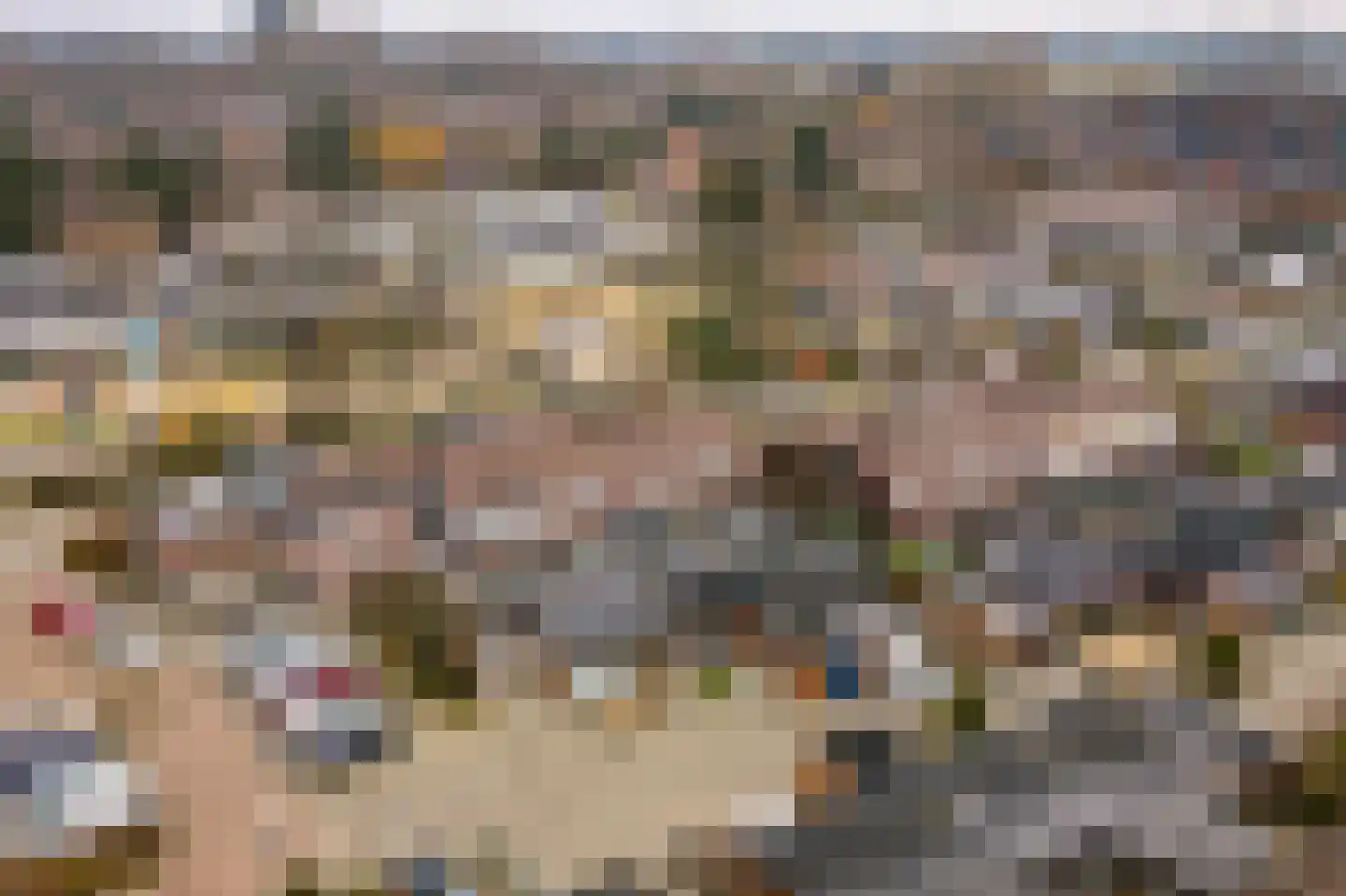 Slochterwaard 141 Alkmaar thumbnail 38