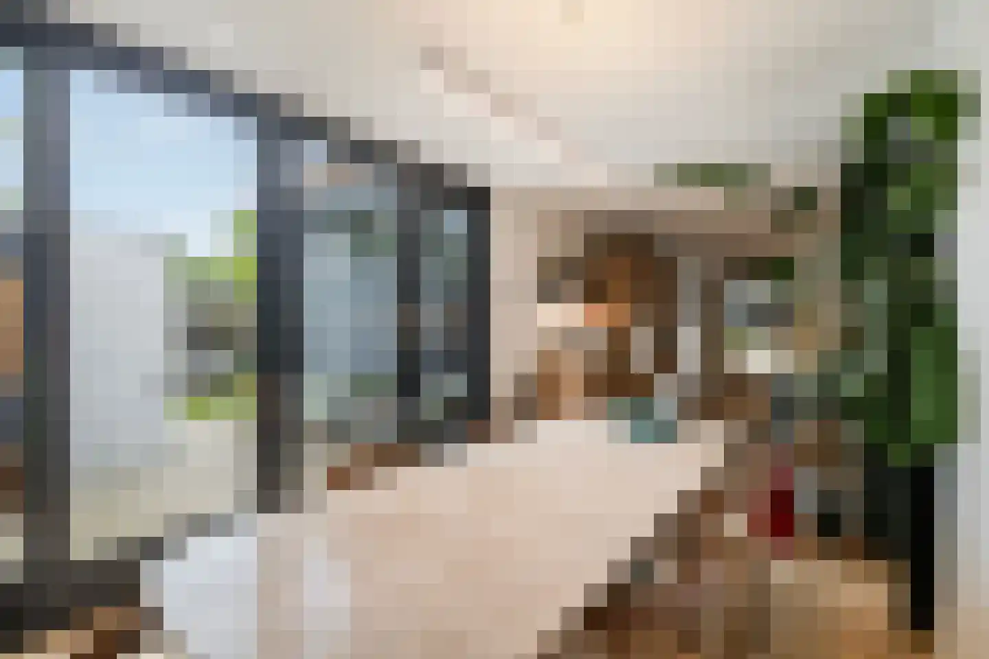 Slochterwaard 162 Alkmaar thumbnail 17