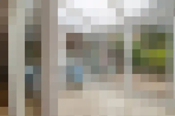 Slochterwaard 17 Alkmaar thumbnail 12