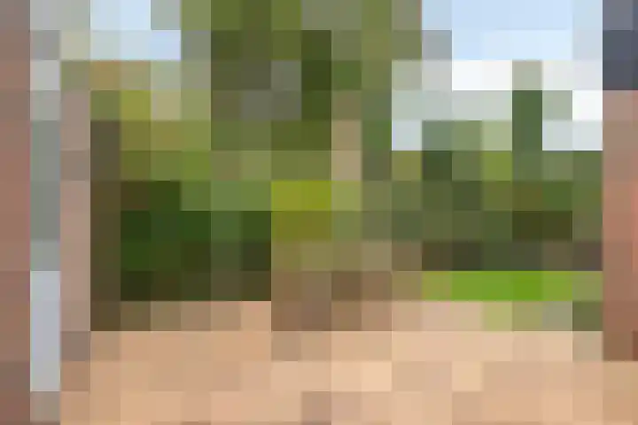 Slochterwaard 17 Alkmaar thumbnail 14