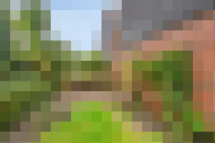 Slochterwaard 17 Alkmaar thumbnail 15