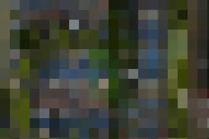 Slochterwaard 17 Alkmaar thumbnail 17