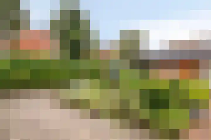 Slochterwaard 17 Alkmaar thumbnail 38