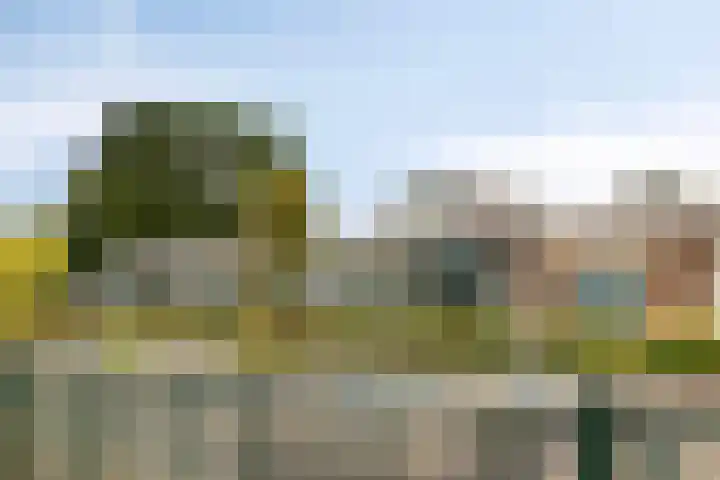 Slochterwaard 17 Alkmaar thumbnail 39