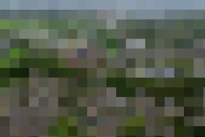 Slochterwaard 17 Alkmaar thumbnail 4