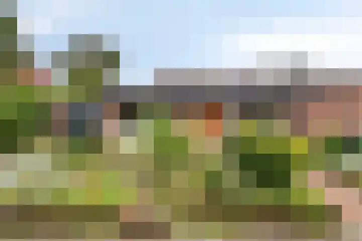 Slochterwaard 17 Alkmaar thumbnail 5