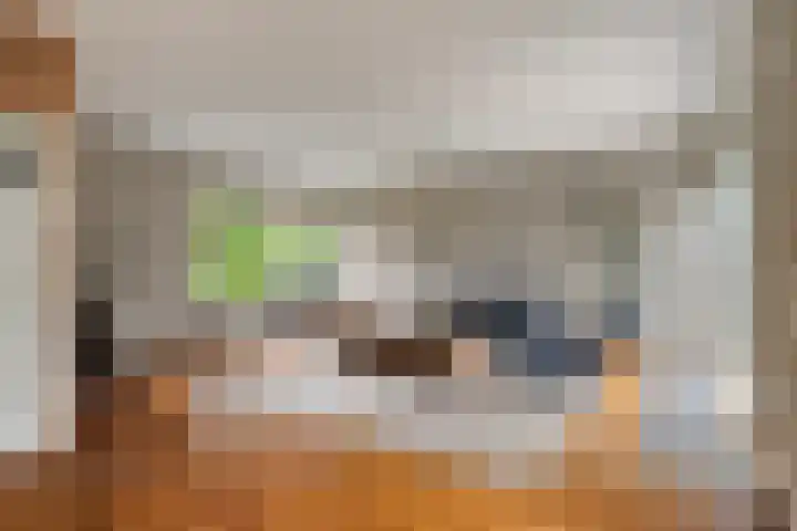 Slochterwaard 17 Alkmaar thumbnail 7