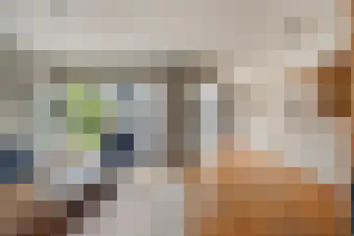 Slochterwaard 17 Alkmaar thumbnail 8