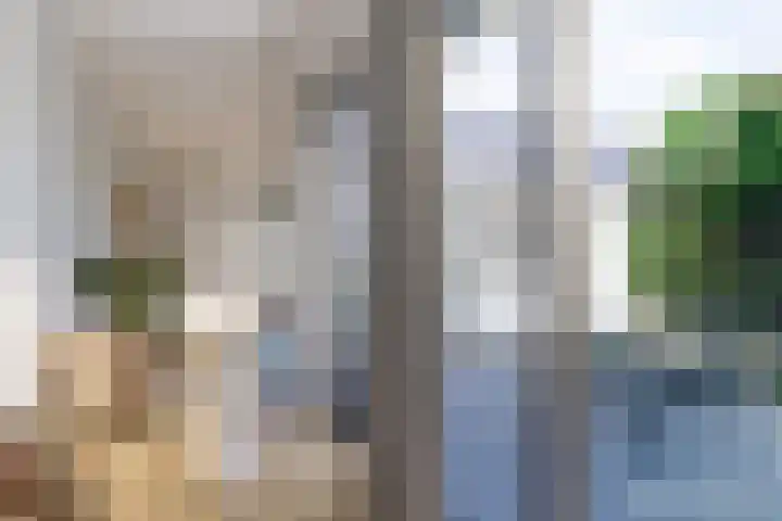Slochterwaard 2 Alkmaar thumbnail 10